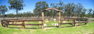 Old Injune Cemetery - Australia Accommodation