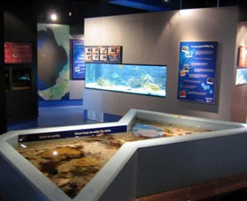 Marine and Freshwater Discovery Centre - Australia Accommodation